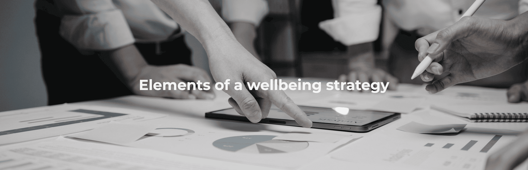 Elements of a wellbeing strategy